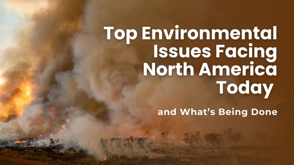 Top Environmental Issues Facing North America Today and What’s Being Done